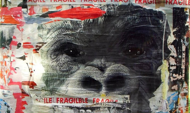 ZAR exposition