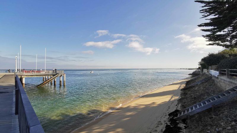 offre emploi negociateur immobilier arcachon