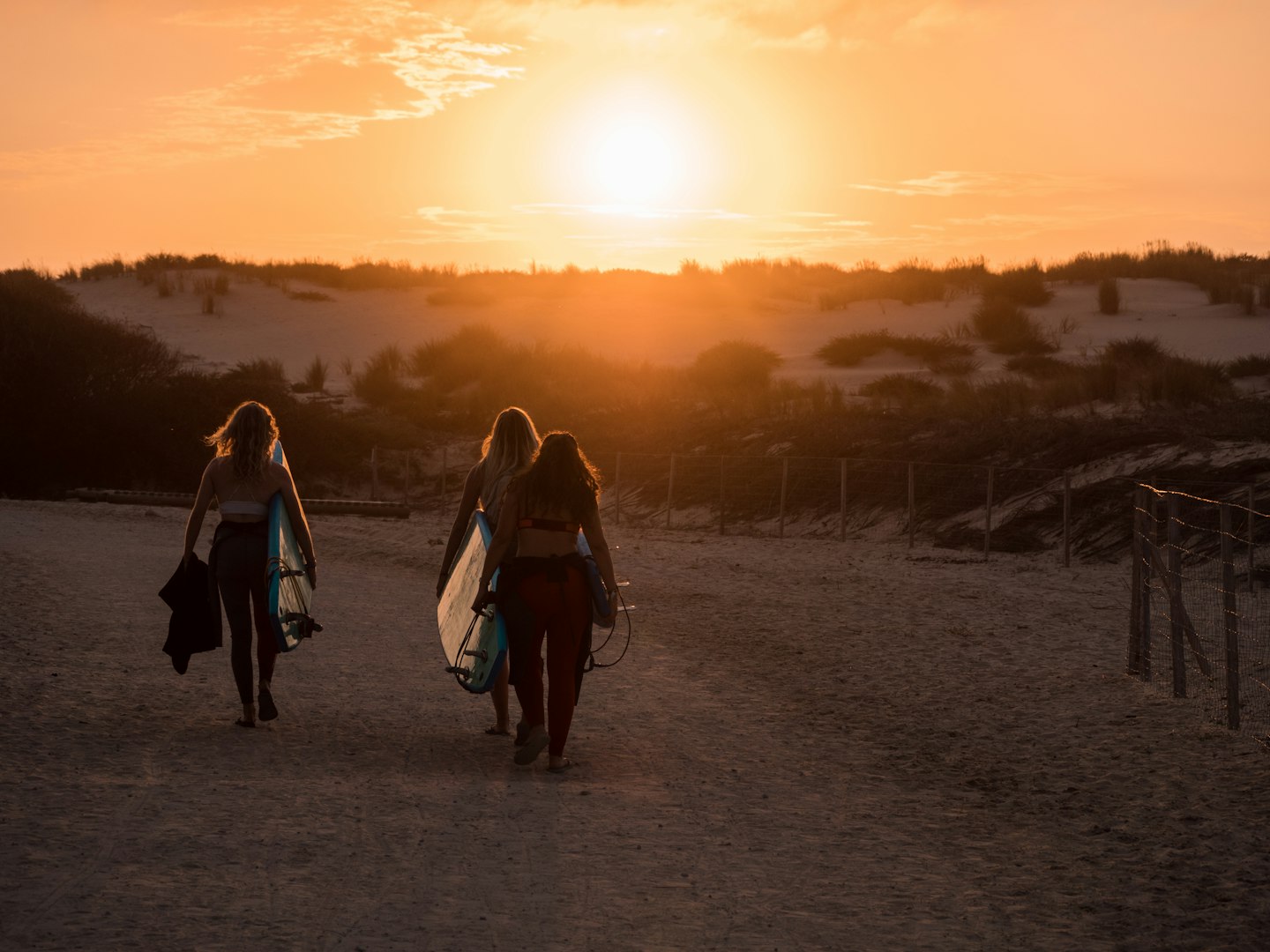 Promenade sur un chemin au coucher du soleil