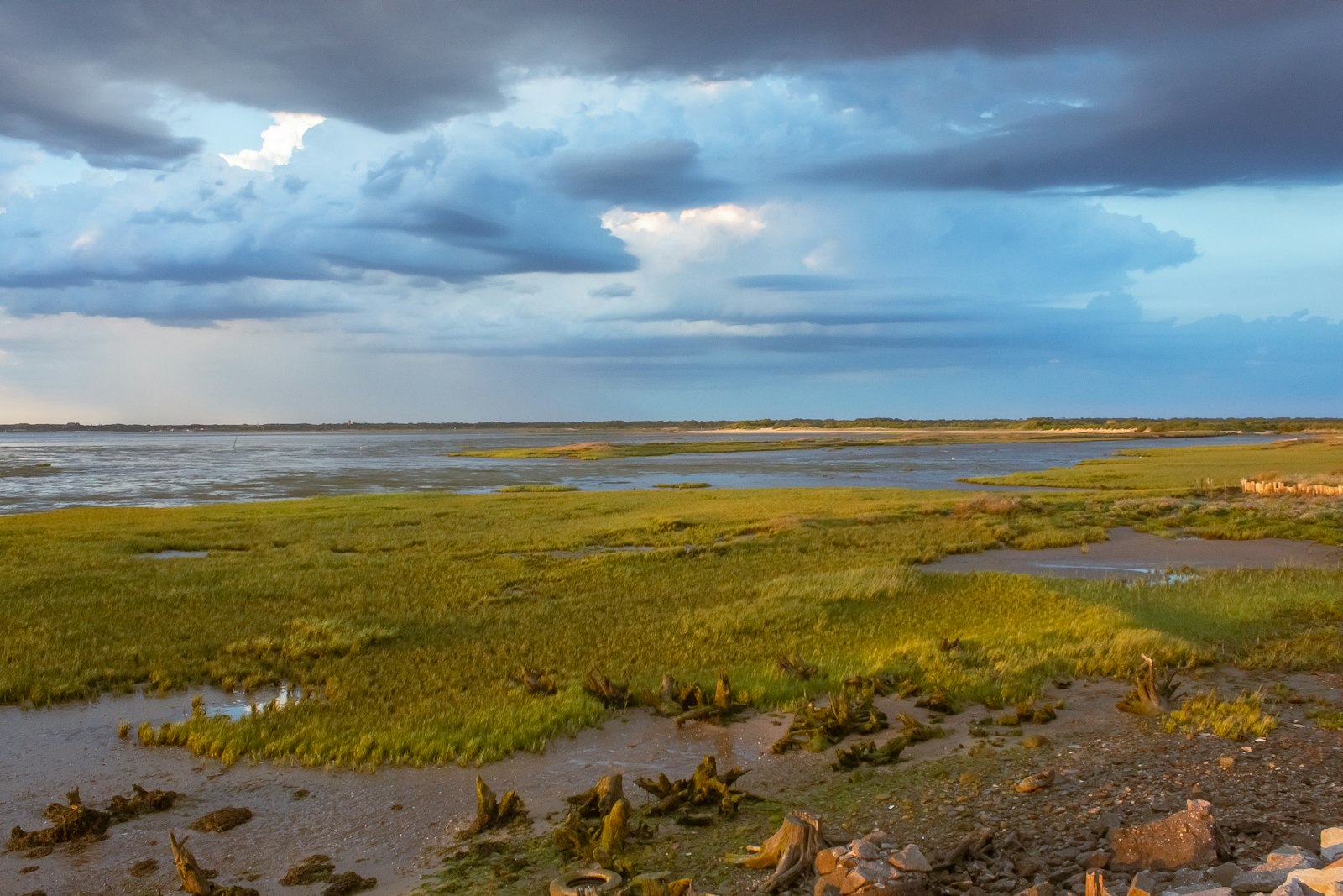 Paysage de rivage et de marée, illustration du Bassin d’Arcachon