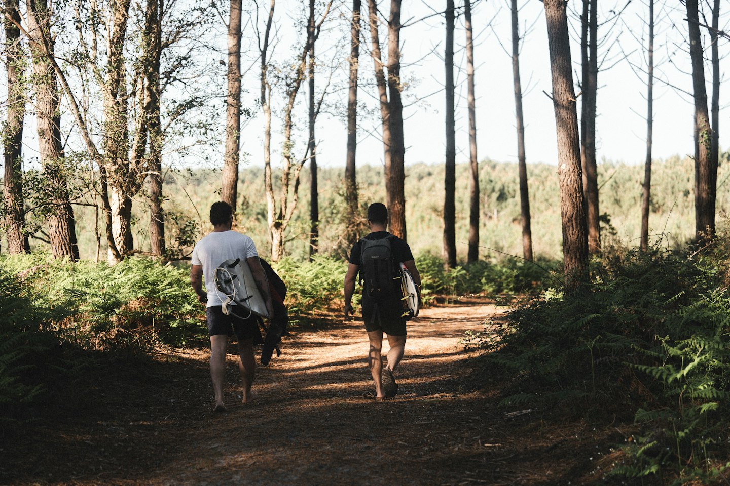 Surfeurs sur un chemin dans la forêt des Landes